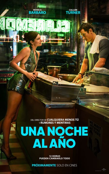 Póster de Una noche al año